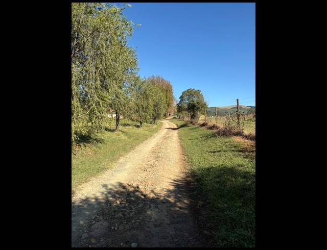165HA FARM FOR SALE IN RICHMOND RURAL